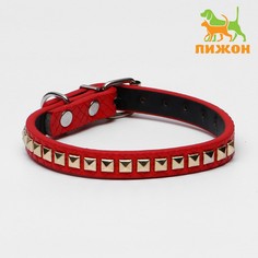 Ошейник рифленый Пижон