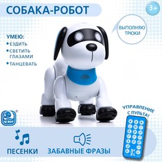 Робот собака IQ BOT