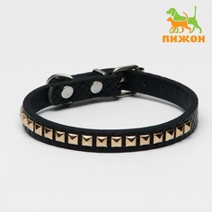 Ошейник рифленый Пижон