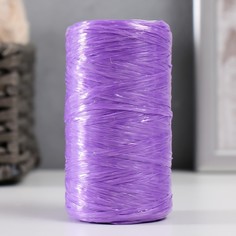 Пряжа для ручного вязания 100% полипропилен 200м/50гр. (16-фиолетовый) NO Brand