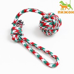 Игрушка канатная Пижон