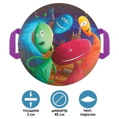 Санки-ледянки NO Brand