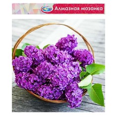 Алмазная мозаика без подрамника, частичное заполнение NO Brand