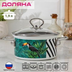 Кастрюля доляна