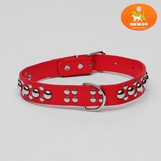 Ошейник Пижон