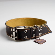 Ошейник комбинированный кожа/брезент, 53 - 66 см, 71 х 4.5 см Пушистое счастье