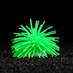 Декоративный анемон для аквариума, 8 х 5 см, зеленый