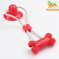 Игрушка для собак Пижон
