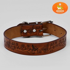 Ошейник с основой из термопластичной резины Пижон