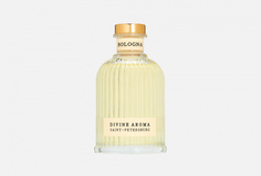 Аромадиффузор Divine Aroma