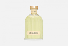 Аромадиффузор Divine Aroma
