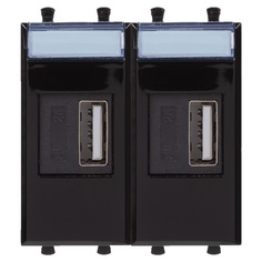 Зарядное устройство DKC 4402542 USB, модульное, "Черный квадрат", 2 модуля, "Avanti"
