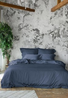 Постельное белье Евро Bellehome Shiny Thunder, тенсель-премиум
