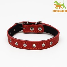 Ошейник кожаный на синтепоне, безразмерный, 45 х 2 см, ош 18-39 см, красный Пижон