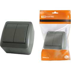 Двухклавишный выключатель TDM