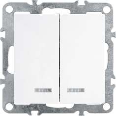 Двухклавишный выключатель STEKKER