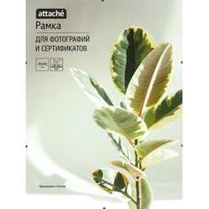 Рамка клип Attache