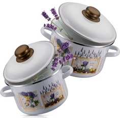 Набор из 2 кастрюль Regent inox