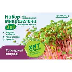 Набор для выращивания микрозелени Агросидстрейд