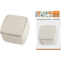 Одноклавишный выключатель TDM