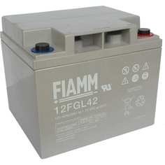 Аккумуляторная батарея FIAMM