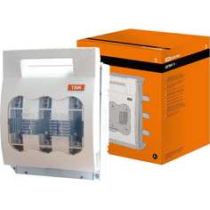 Шинный выключатель-разъединитель TDM