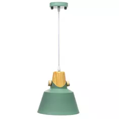 Светильник подвесной Prato 1 лампа 5 м² цвет зелёный Lamplandia