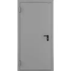 Дверь противопожарная EI60 980х2050 левая цвет светло-серый RAL7035 Doorhan