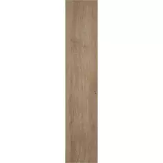 Дверь для шкафа Сантьяго 14.7х76.5 см цвет коричневый Delinia