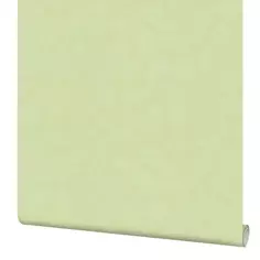 Обои флизелиновые Home Color Vanille зеленые 1.06 м 382-76