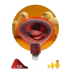 Инфракрасная лампа Эра для животных ИКЗК Е27 220-250 Вт R127 ERA