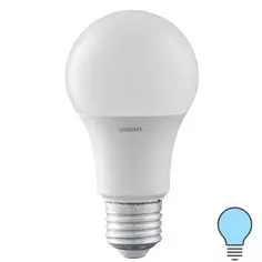 Лампа светодиодная Osram Antibacterial E27 220-240 В 8.5 Вт груша 806 лм, холодный белый свет