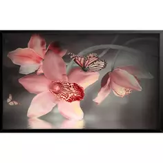 Картина в раме Орхидеи и бабочки 60x100 см Без бренда