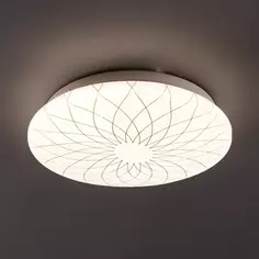 Светильник настенно-потолочный светодиодный Lumin Arte Fler C19LLS12W, 6 м², нейтральный белый свет, цвет белый