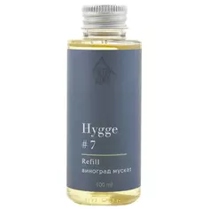 Наполнитель для диффузора Hygge 7 Виноград мускат 100 мл Arida Home