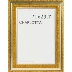 Рамка Charlotta 21х30 см пластик цвет золото Без бренда