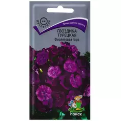 Семена цветов Гвоздика Турецкая Фиолетовая гора Поиск