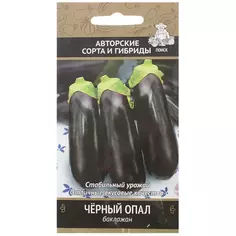 Семена Баклажан «Чёрный опал» ПОИСК