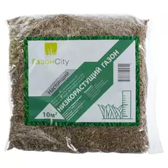Семена газона ГазонCity Настоящий низкорастущий 0.3 кг