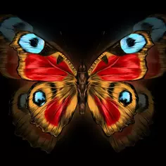 Картина на стекле «Бабочка» 40х40 см Без бренда