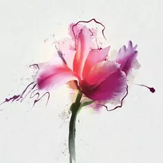 Картина на стекле «Розовый тюльпан» 30x30 см Postermarket