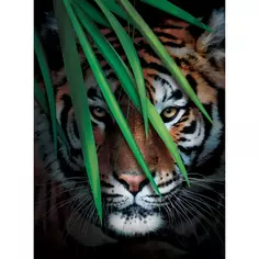 Фотообои Тигр на охоте флизелиновые, 200x270 см, L13-196 Fbrush