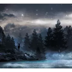 Фотообои Туманная ночь флизелиновые, 300x270 см, L13-206 Fbrush