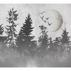 Фотообои Лунный пейзаж флизелиновые, 300x270 см, L13-211 Fbrush