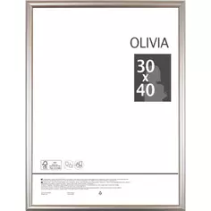 Рамка Olivia, 30x40 см, пластик, цвет серебро Без бренда