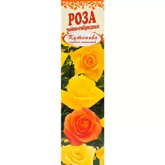 Роза чайно-гибридная «Ландорра» в коробке Без бренда