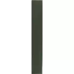 Дверь для шкафа Delinia ID «Мегион» 15x102.4 см, МДФ, цвет тёмно-серый