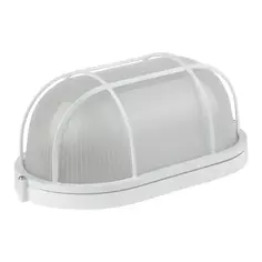 Светильник утилитарный настенно-потолочный влагозащищенный Эра НБП04-100-002 12 м² цвет белый ERA