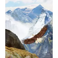 Картина на холсте "Рожден летать" 40x50 см Fbrush
