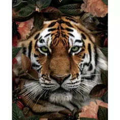 Картина на холсте "Портрет тигра" 40x50 см Fbrush